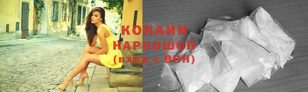 гидра Алексин