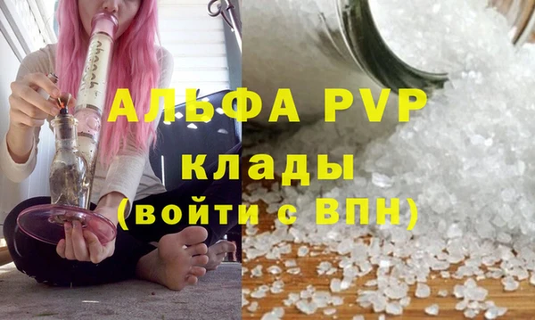 гидра Алексин